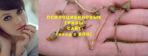 меф Арсеньев