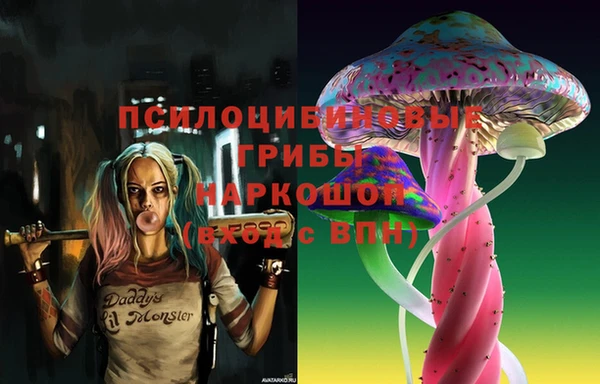меф Арсеньев